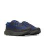 Agility Trail WP 4