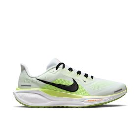 Pegasus 41
