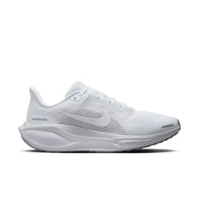Pegasus 41