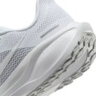 Pegasus 41 4